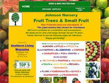 Tablet Screenshot of johnsonnursery.com